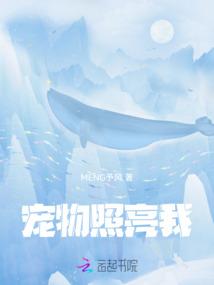 宠物照看平台