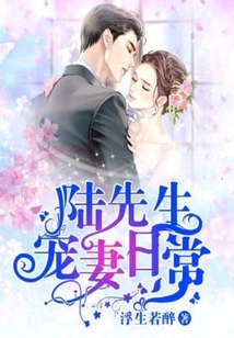 陆先生的宠妻计划小说全文阅读