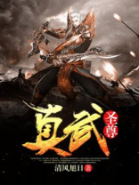 真武圣尊凌天宇段嫣然