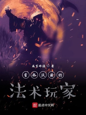 霍格沃兹的法术玩家 小说