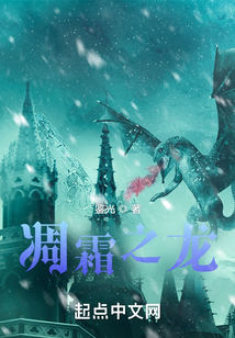 凋霜之龙小说
