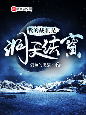 我的战机是洞天法宝 爱鱼的肥猫