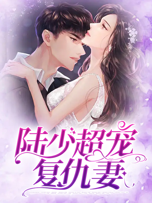 陆少宠妻无敌小说