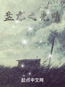 盘龙之光暗雷