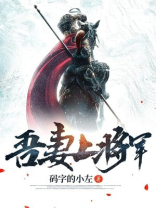 吾妻上将军 好看嘛