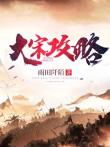 大宋gongci