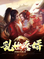 乱世痞婿小说