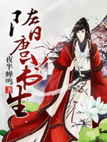隋唐小书生下载