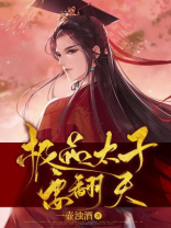 极品太子爷 百度百科