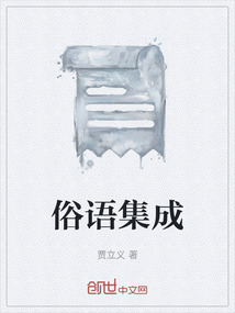壮族俗语集成语言