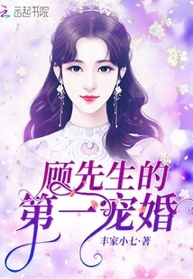顾先生的第一宠婚小说