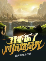 我重振了对抗路荣光txt网盘