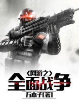 全面战争是单机还是网游