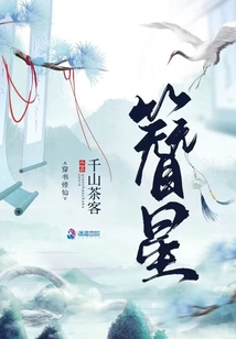 簪星小说下载