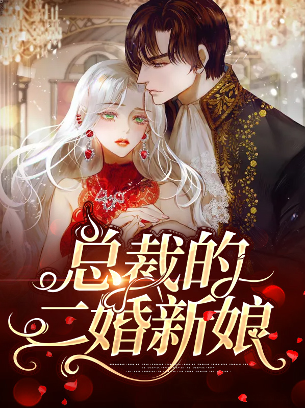 宠妻无度总裁的二婚新娘