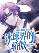 冬奥崛起:冰球界的骄傲 小说