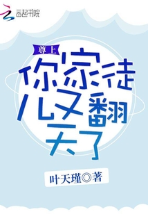 尊上你要点脸 小说