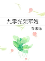 九零光荣军嫂免费全文阅读