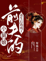 重生后我成了前夫的小舅娘 小说