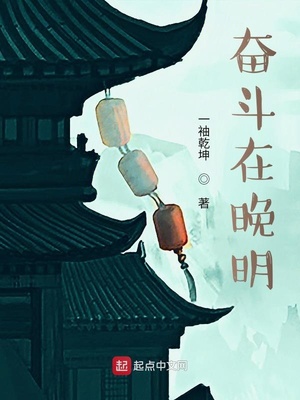 奋斗在晚明txt