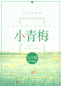小青梅又爬墙了小说
