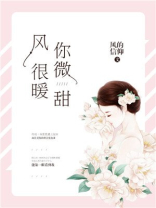 风很暖你微甜免费阅读
