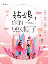 姑娘,你的98k掉了txt