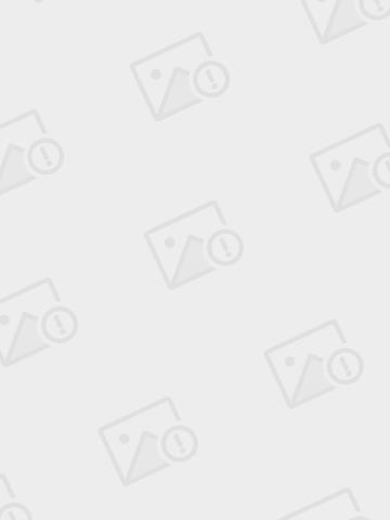 红楼贾大帝师全文下载