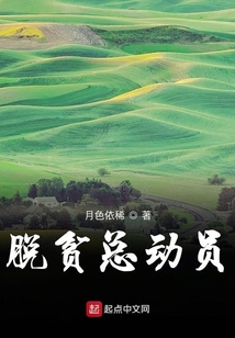 脱贫攻坚全胜收官动员大会
