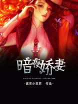 暗夜免费阅读全文