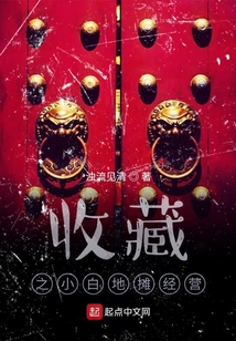 收藏之小白地摊经营有声小说