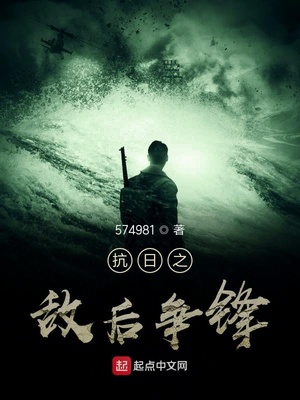 抗日之敌后争锋 小说