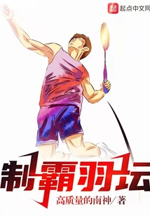 制霸羽坛小说