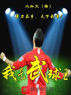 我是武球王 小说