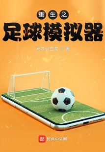 重生之足球模拟器小说免费阅读