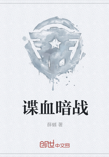谍网暗战
