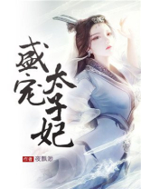 盛宠太子妃慕如初