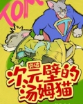 突破次元壁的汤姆猫小说