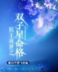 妖王再世之双子星命格