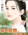 霸气总裁，不屈妻