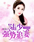 陆少天价宠妻宝贝