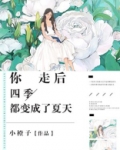 你走后，四季都变成了夏天