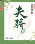 夫骄全文在线阅读