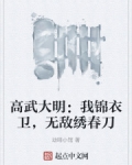 高武大明：我锦衣卫，无敌绣春刀