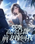 高冷总裁的前妻