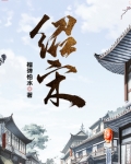 绍宋小说