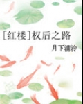 红楼权后之路好看吗