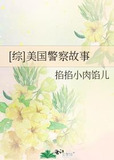 [综]美国警察故事